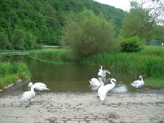 Les Demoiselles De La Semois Villa Poupehan Kültér fotó